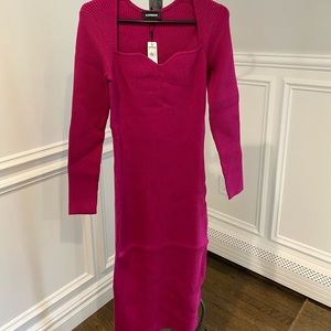 Express Sweater Dress